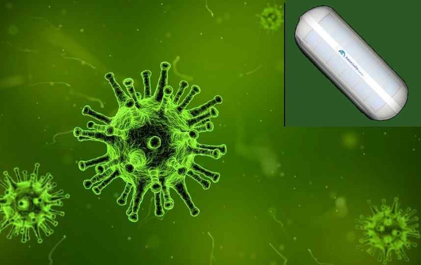 virus