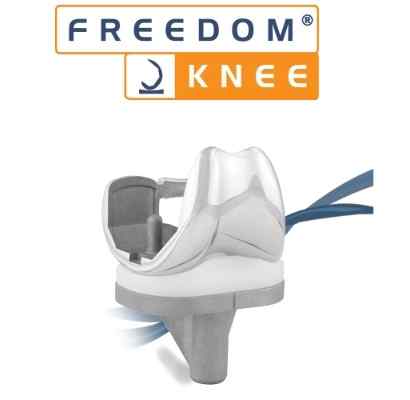 freedom